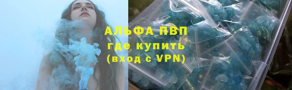 мяу мяу мука Белокуриха