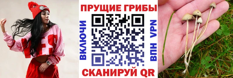 Псилоцибиновые грибы ЛСД  KRAKEN ТОР  Ворсма  купить наркоту 